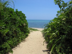 小道