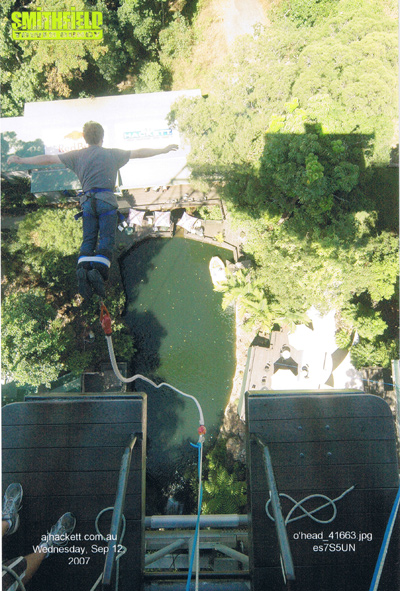 bungy